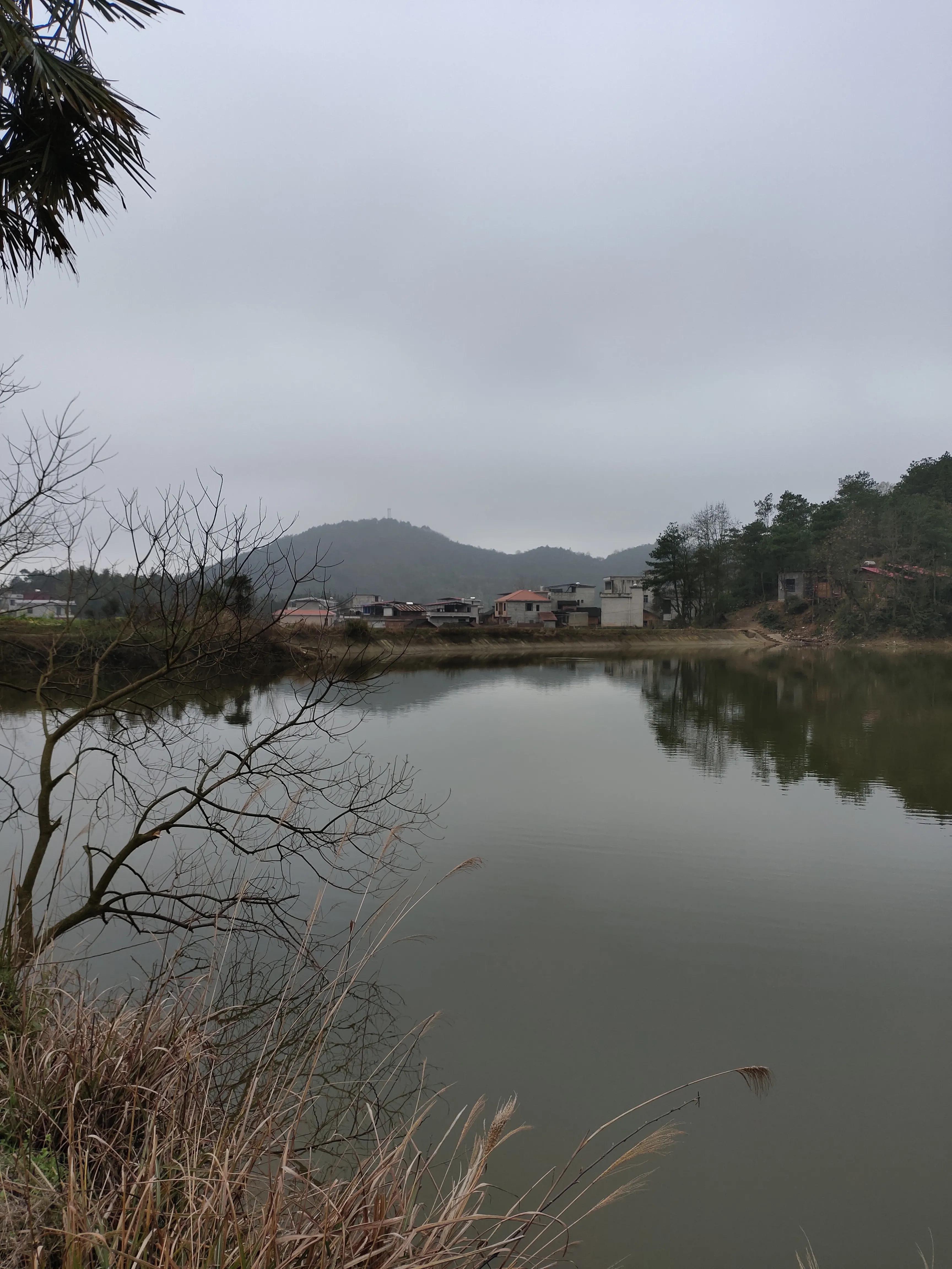 钓鱼往事歌,钓鱼往事