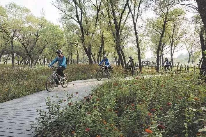 复兴区美丽乡村,复兴区户村镇美丽乡村