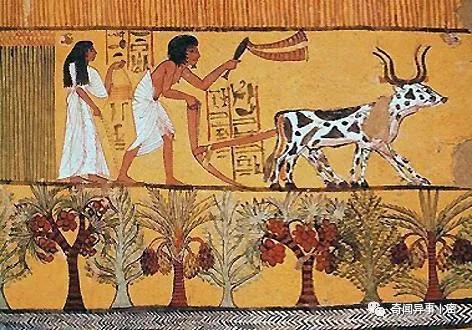 埃及未解之谜奇闻异事,古埃及十大奇葩神秘事件