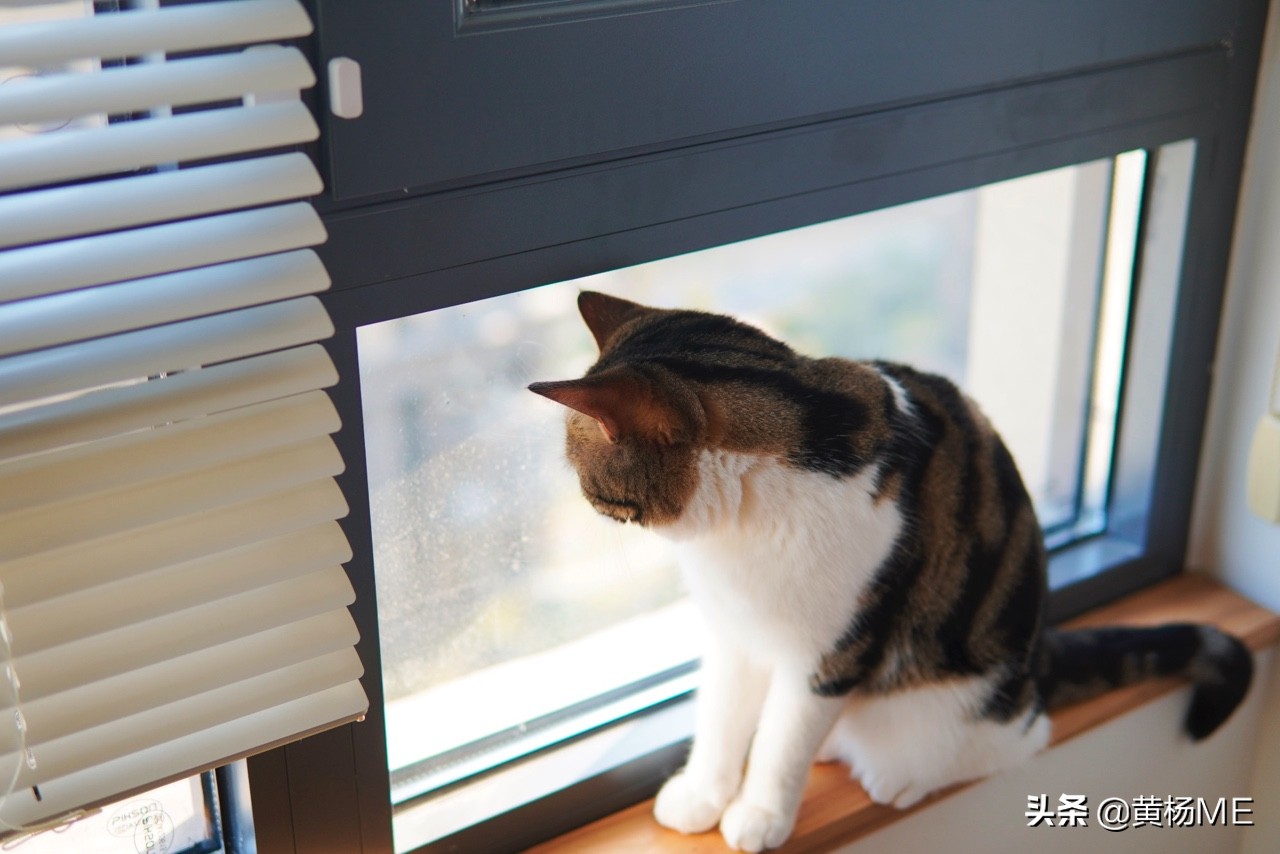 北方取暖的最佳方案,告诉你一个天冷取暖的小秘诀