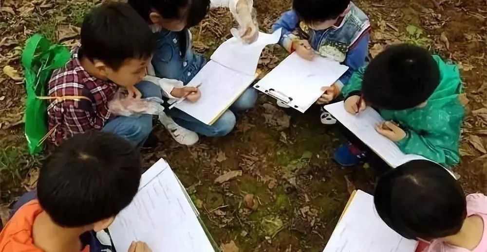 春日自然教育,春日茶语正能量