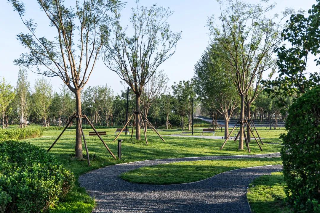 天津首创经中中国光年城中央公园,天津宁河光年城中央公园结构