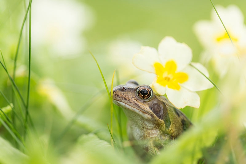 适合野生动物摄影器材,2020最佳旅游相机排行
