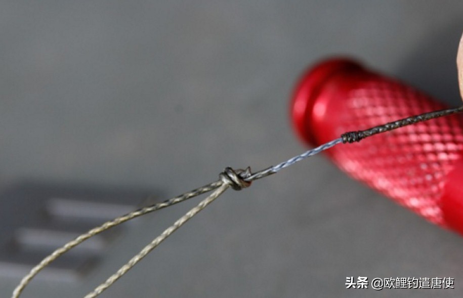 为什么鲤鱼比鲫鱼难钓,为什么鲫鱼这么难咬钩