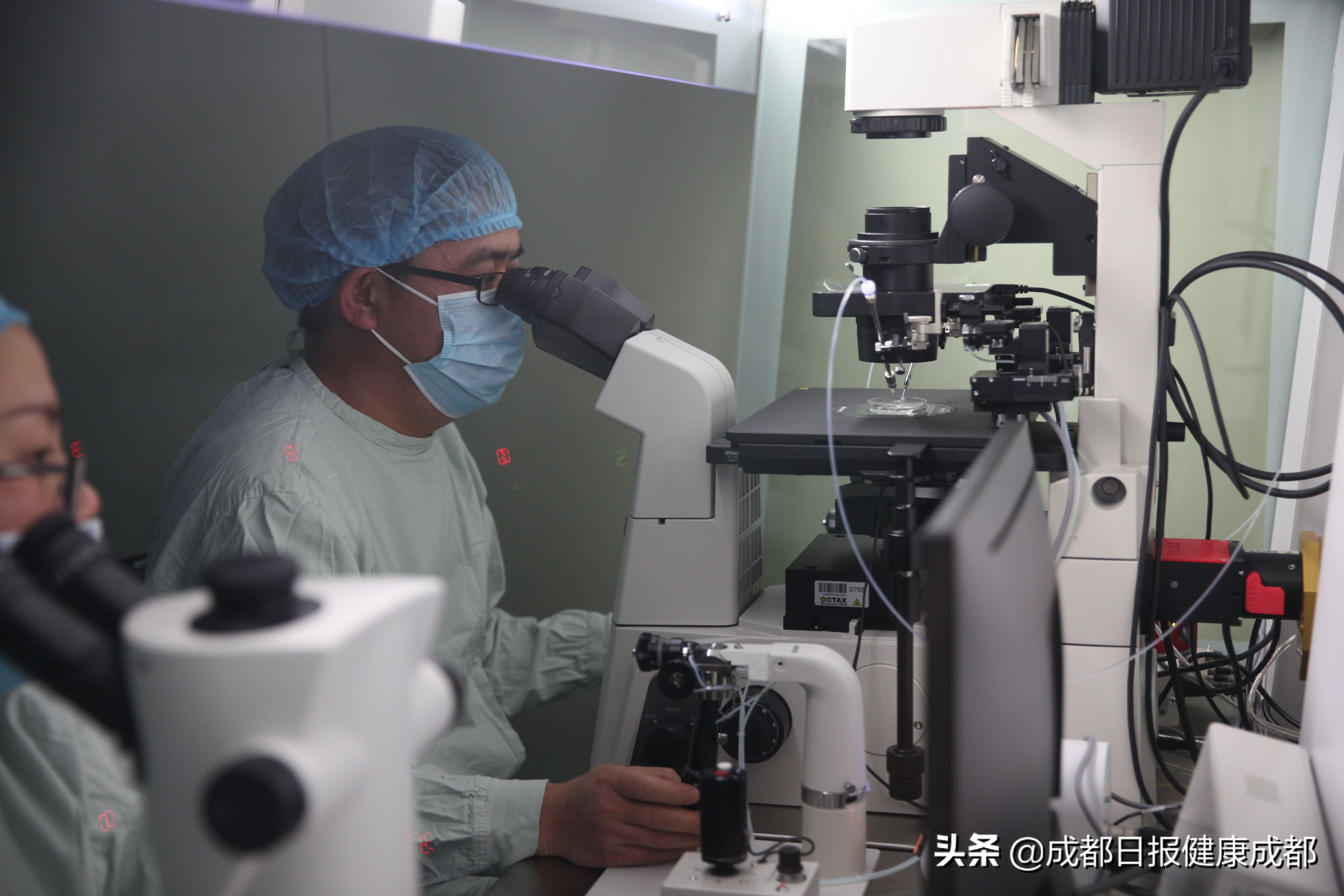 成都做试管婴儿是哪家最好,成都试管成功率排名