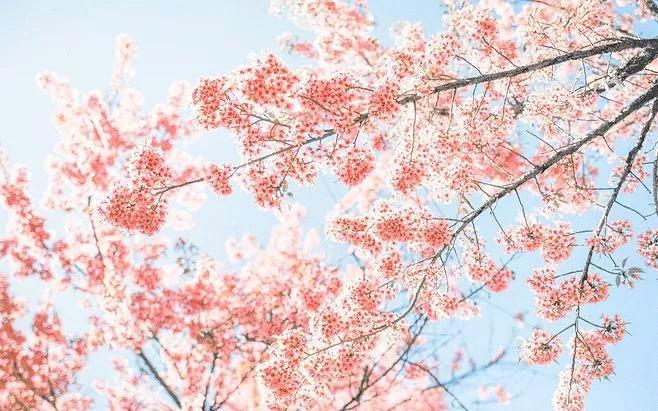 水疱疹小水泡原因,什么样的症状是疱疹