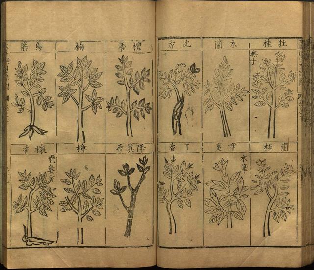 李时珍本草纲目书目录,李时珍本草纲目下卷