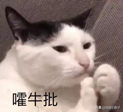 韩安冉直播结婚后续,韩安冉直播结婚