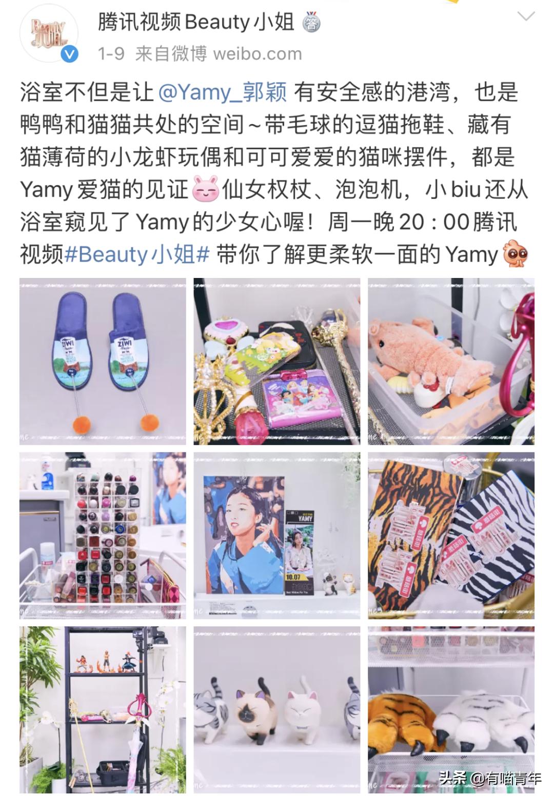 长毛猫撸猫毛工具,哪种撸猫毛的工具好用