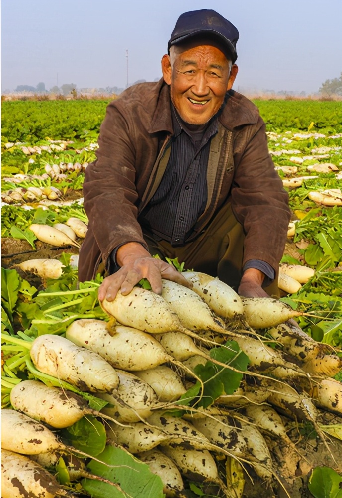 俗语穷不耕丈人田,为什么有穷死不耕丈人田的说法