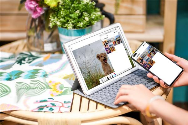 英语单词记不住背了就忘,英语单词记不住不会写