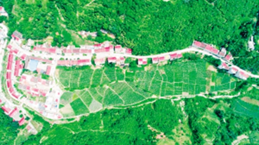 产业强农村美农民富,产业兴农民富村庄美