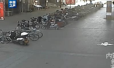 1、2、3、4、5，制服！网友：兵哥哥太帅了