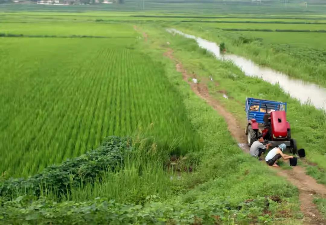 63张照片看朝鲜,朝鲜免费住宅图片
