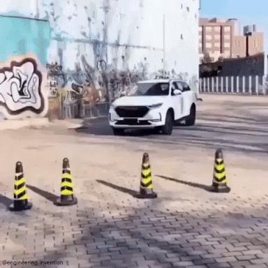 一周gif动图,一周gif图