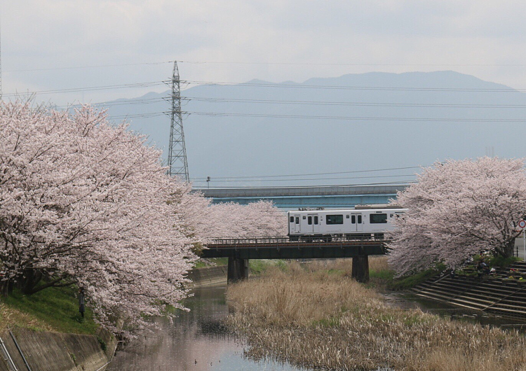 魔都光影游玩攻略,魔都光影打卡攻略