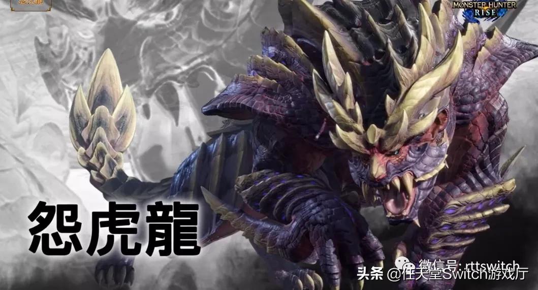 switch怪猎joycon,switch日报教程