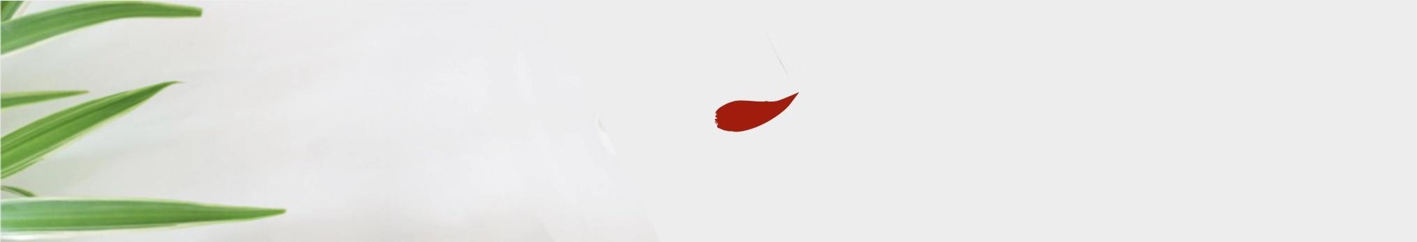 日本什么牌子的电饭煲煮饭最好吃,国产电饭锅与日本电饭煲差距大吗