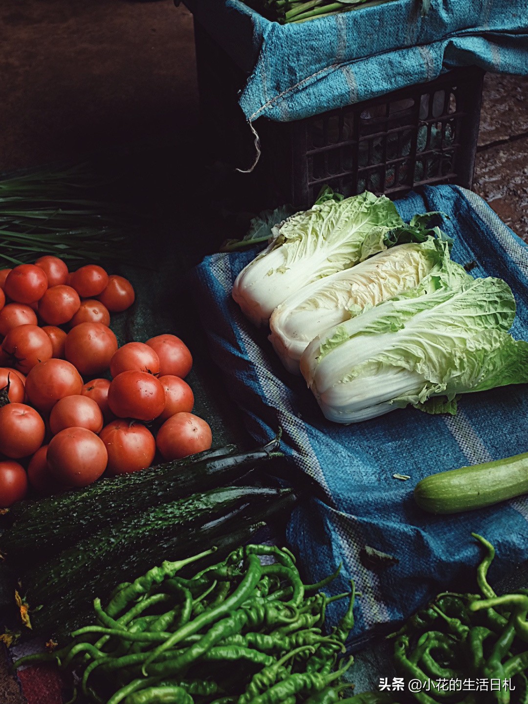 塑料袋收纳妙招废物利用,没用的塑料袋收纳法