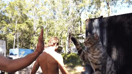 澳大利亚火场消防员,2018澳大利亚消防员