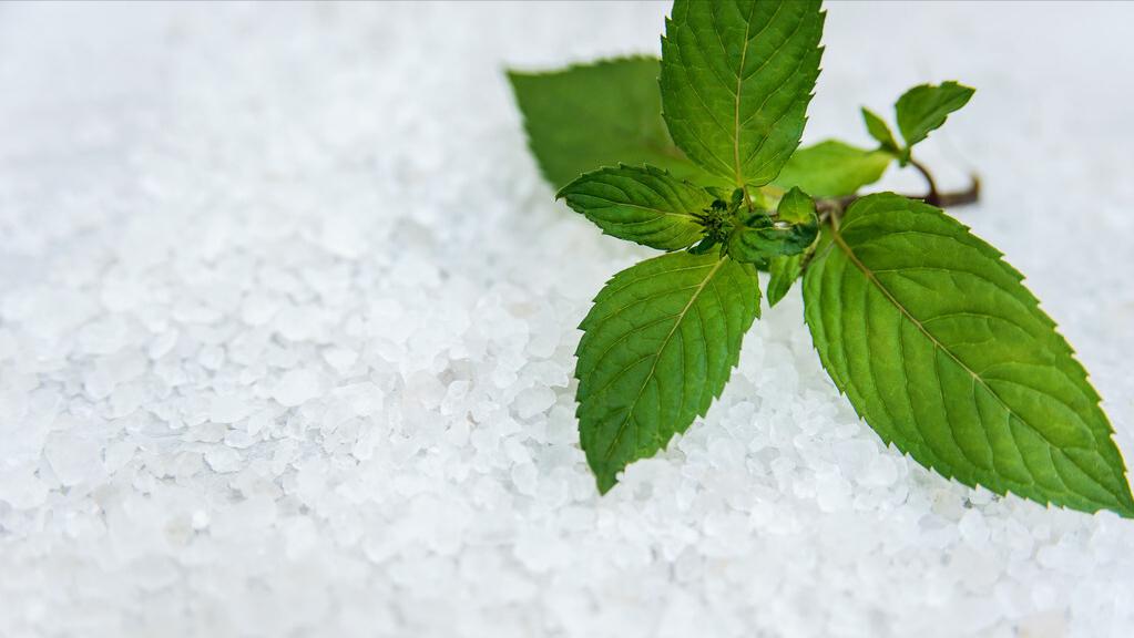 反手抓后背,反手抓