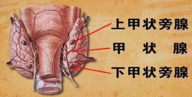 反复得输尿管结石怎么回事,尿路结石反复发作是什么原因