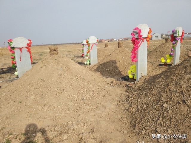 别人迁了我的祖坟怎么办,祖坟让别人迁出怎么办