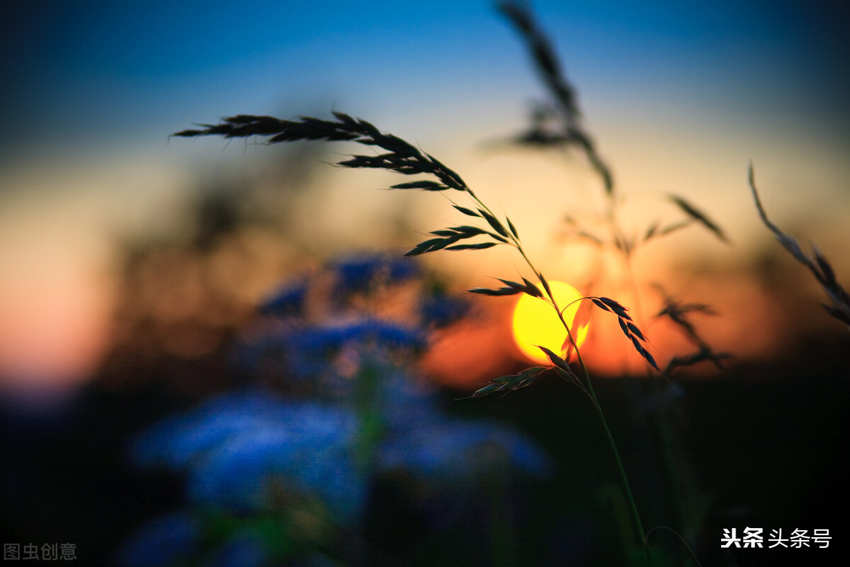 黑夜里行走，后面跟着我的是人是鬼？