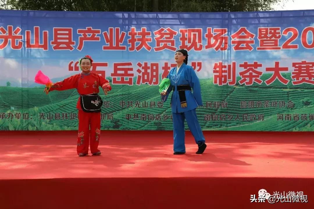 光山斗茶大赛完整版,信阳斗茶大赛获奖