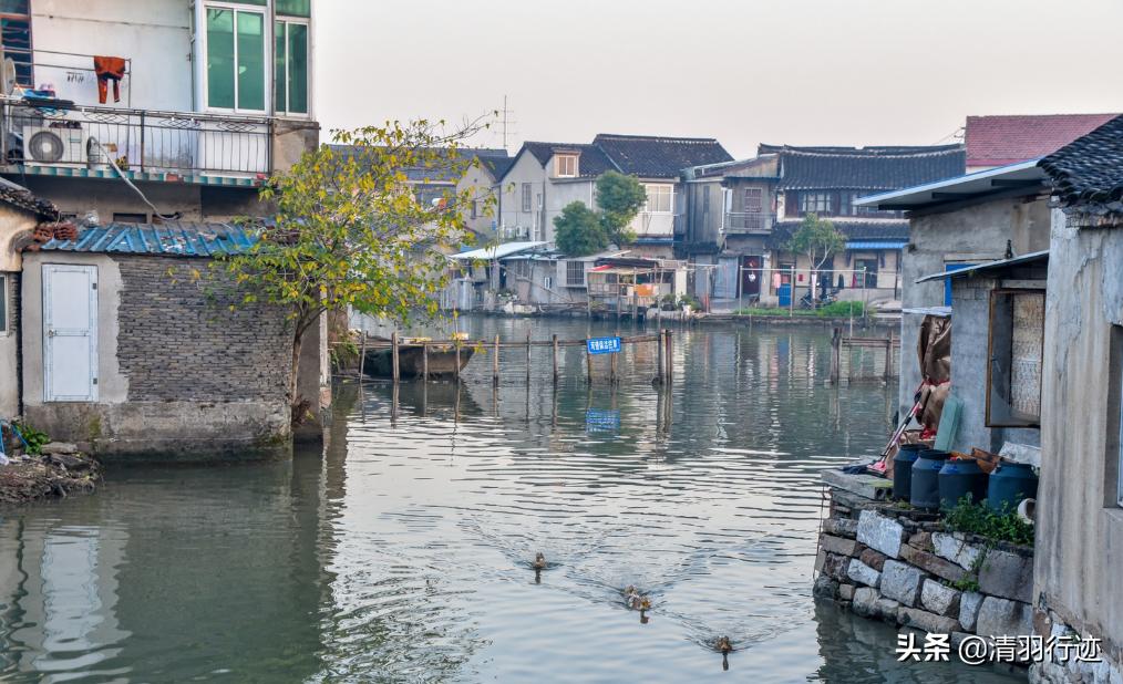 苏州最便宜的千年古镇,苏州水乡古镇免费景点