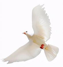 贴贴贴贴贴贴贴贴贴