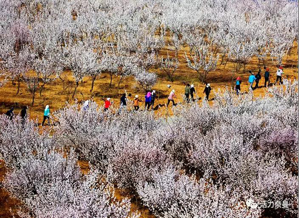 45万奈曼人的名片，太漂亮了！除了中华麦饭石你还知多少？