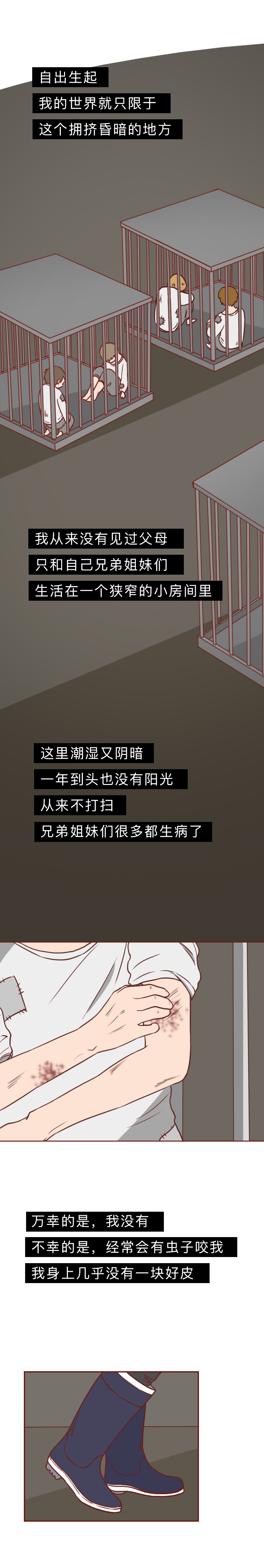 最低9.9，他们被装进盲盒当商品贩卖，漫画揭秘动物盲盒