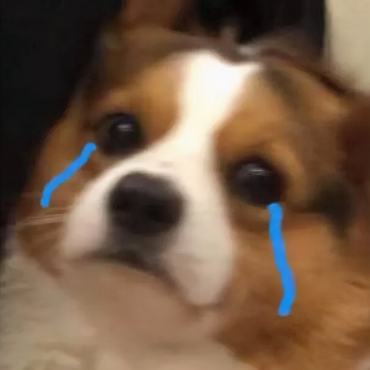 福州房价跌出前十,房价下跌福州名单