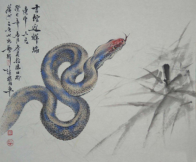 蛇为什么要三年后才报仇,蛇真的会报仇吗