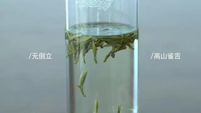 会倒立的才是好绿茶？我们给你做了这个实验