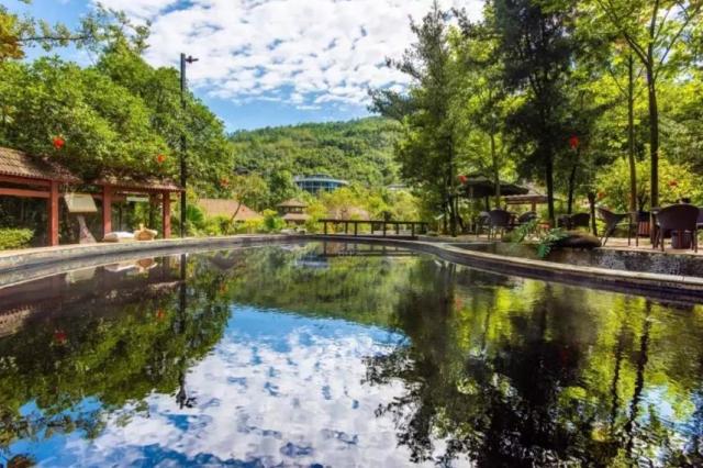 花水湾金陵温泉度假酒店温泉,成都花水湾温泉旅游度假