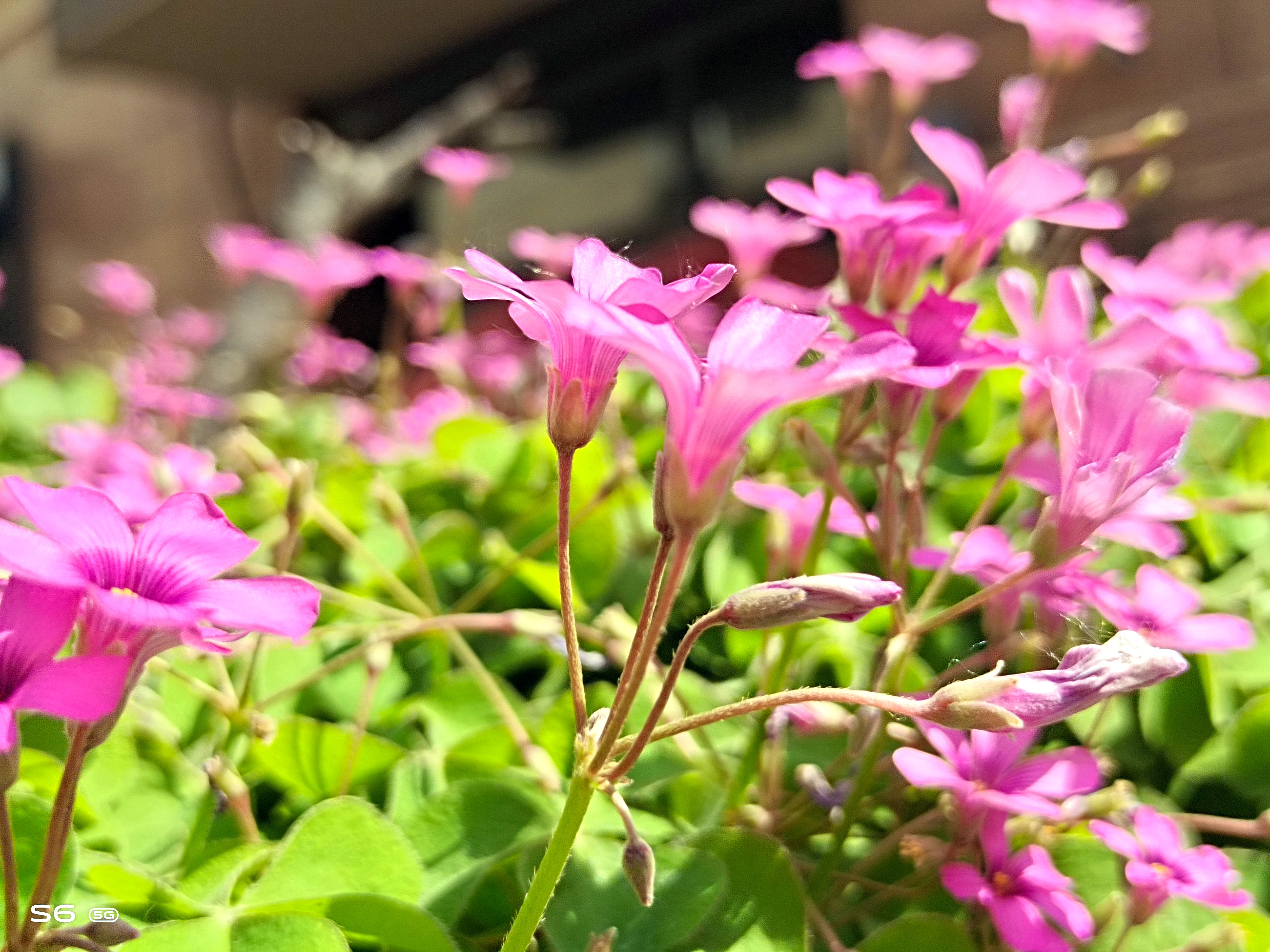 消费者视角分析,vivos6值得入手吗