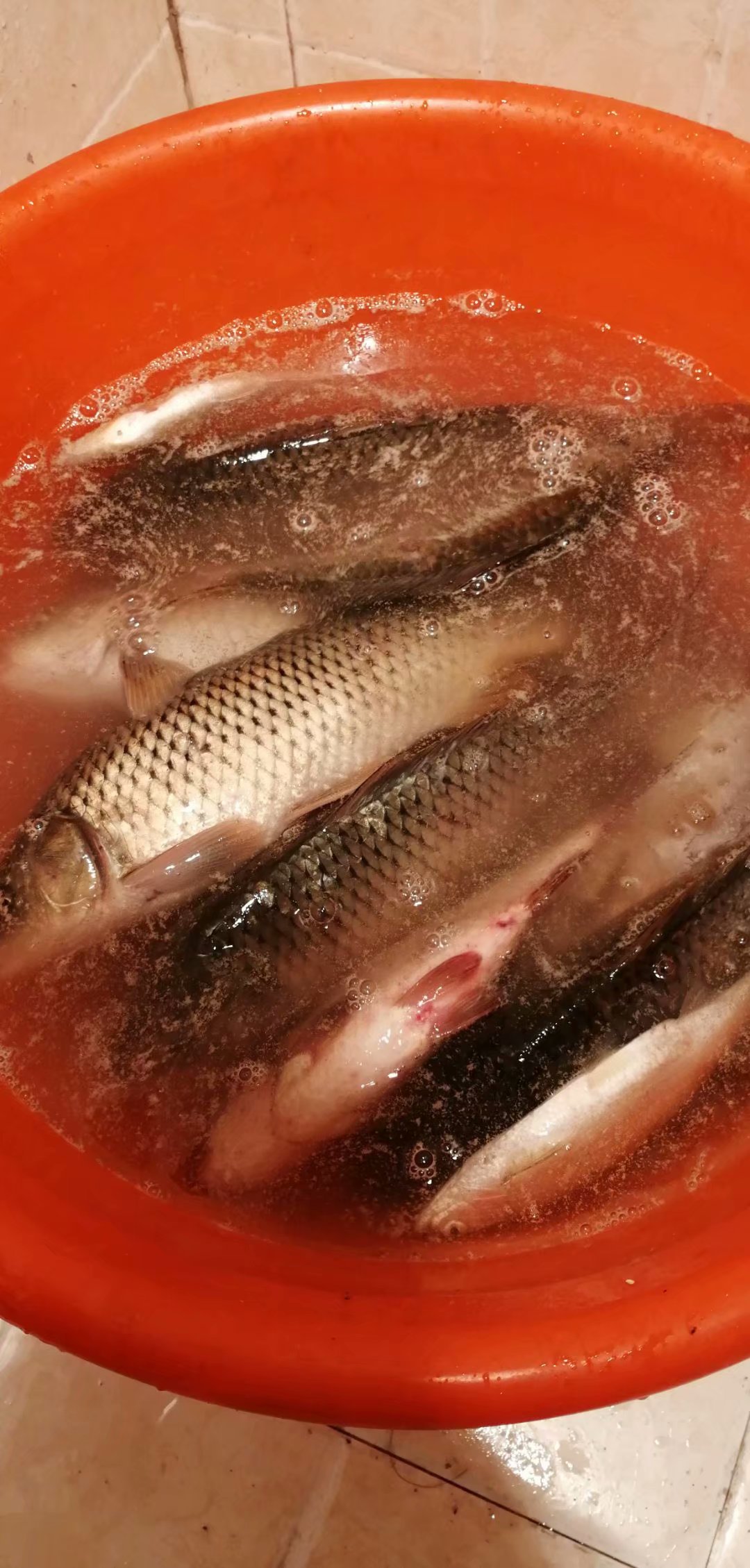 钓鱼新手有必要买偏好点的渔具吗,野钓一年渔具花费