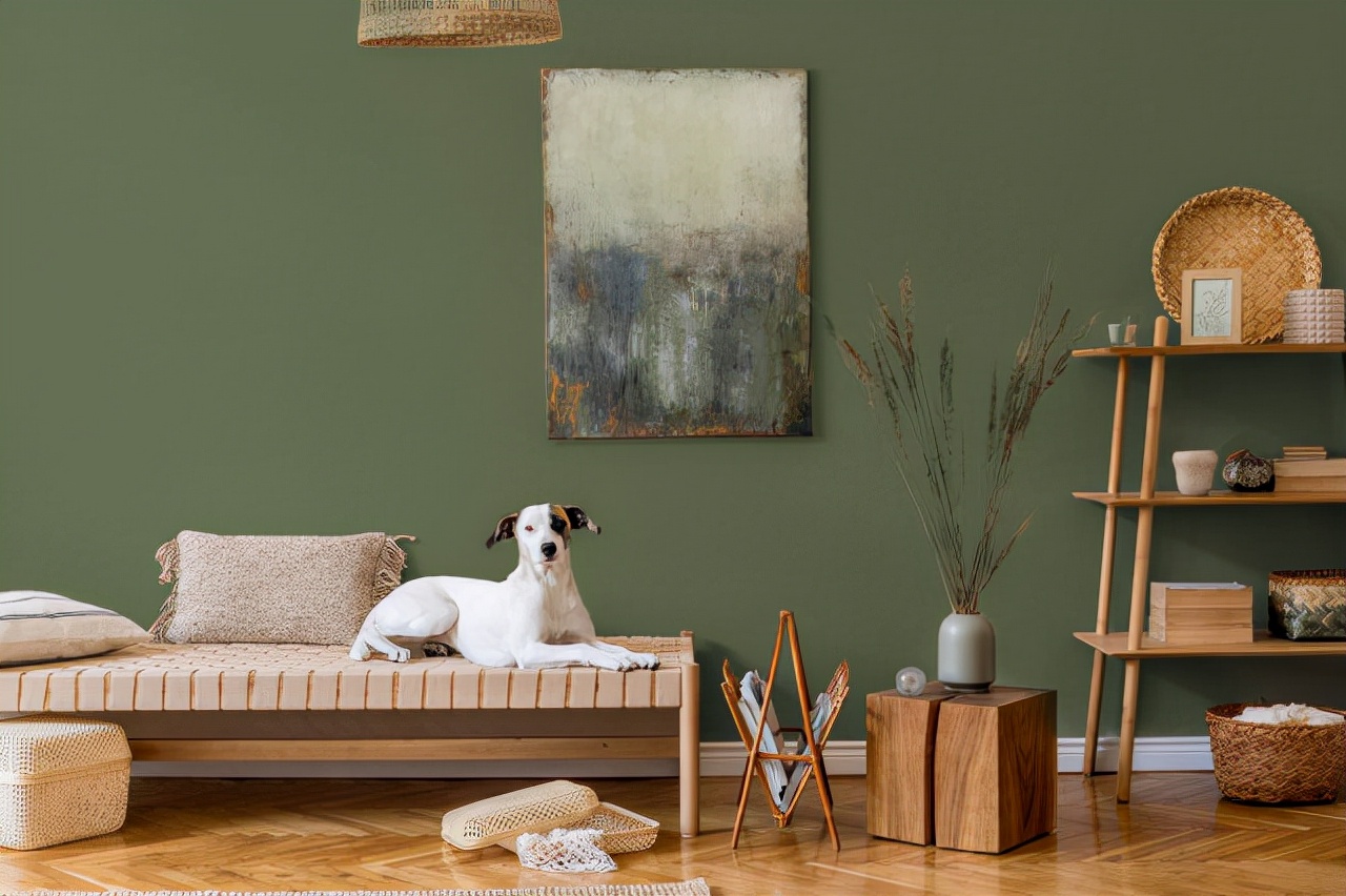 绿色将作为2022年的顶级油漆颜色！到底有什么特殊之处？