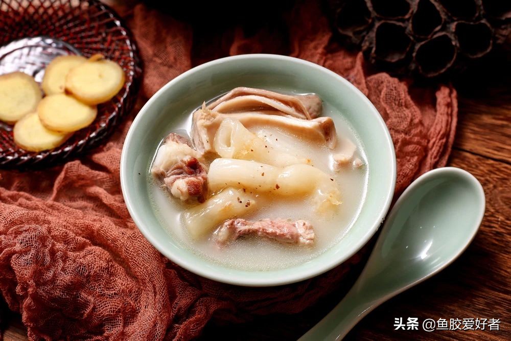 鱼胶是不是越大越厚营养越好,鱼胶正确的选择方法