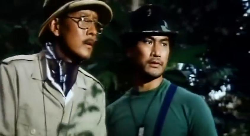 樊少皇和利智的电影全集,樊少皇利智参演