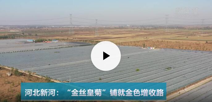 高端媒体看磁县,高端媒体看邢台新华社