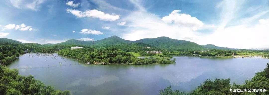 自贸区小高层哪家好 (自贸区小高层)