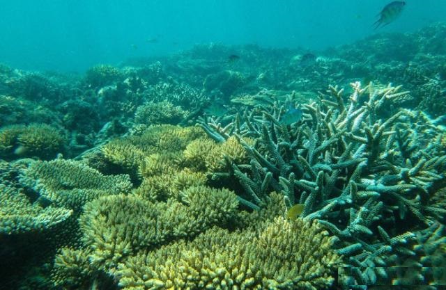 亚庇沙巴之旅 (沙巴亚庇感受风下之乡的温柔)