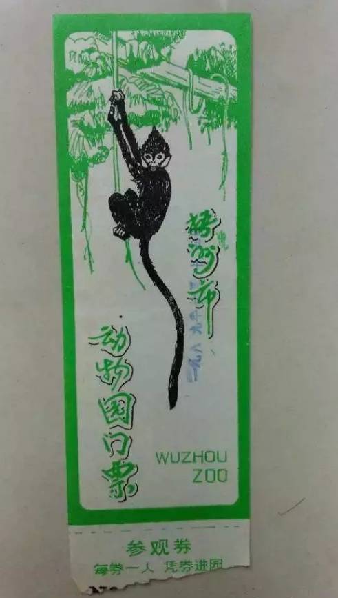 广西梧州1997年身份证,身份证是1999年的照片