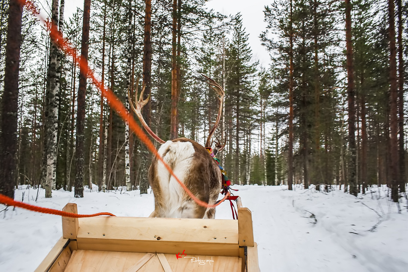 果小姐的慢生活之冰雪奇缘