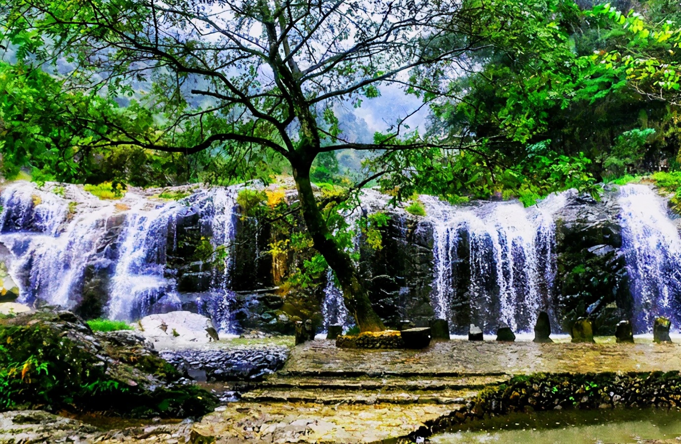 温州旅游攻略必去景点带孩子,温州游玩超详细攻略