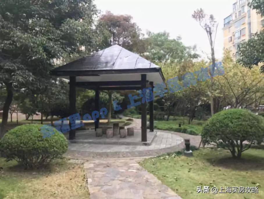 民办摇号学校有哪些,上海民办摇号哪些初中难上