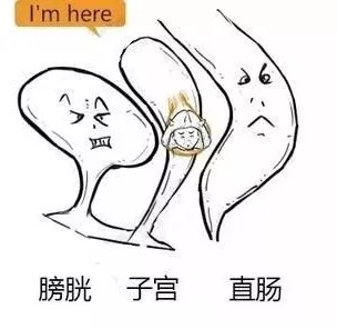 子宫肌瘤动漫演示,子宫肌瘤是什么原因导致的漫画